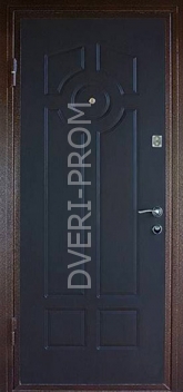 Фотография «Дверь Порошок №35»