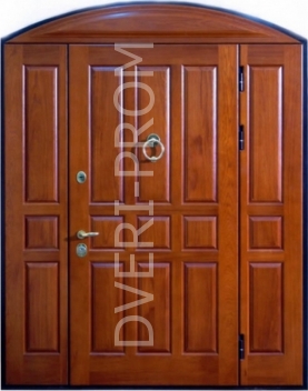 Фотография «Парадная дверь №238»
