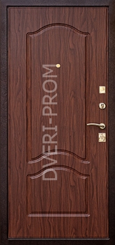 Фотография «Дверь с ковкой №2»