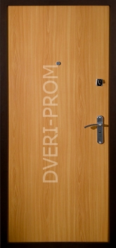 Фотография «Дверь МДФ шпон №3»