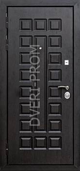Фотография «Дверь Порошок №12»