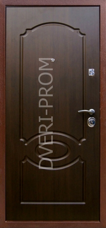Фотография «Дверь Порошок №38»