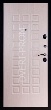 Фотография «Дверь с ковкой №4»