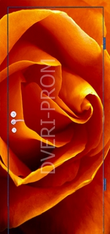 Фотография «Дверь с фотопечатью №11»